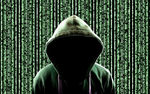 黑客, 网络安全, 卫衣, 网络, 计算机安全, 电脑黑客, 神秘, 黑暗的, 黑客, 黑客, 黑客, 黑客, 黑客, 网络安全, 网络安全